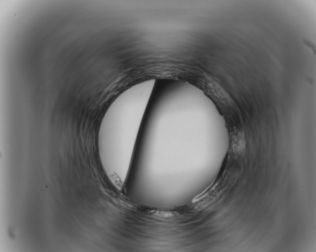X0000097290332200802151104