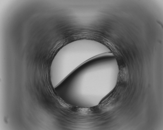 X0000097290333200802151104