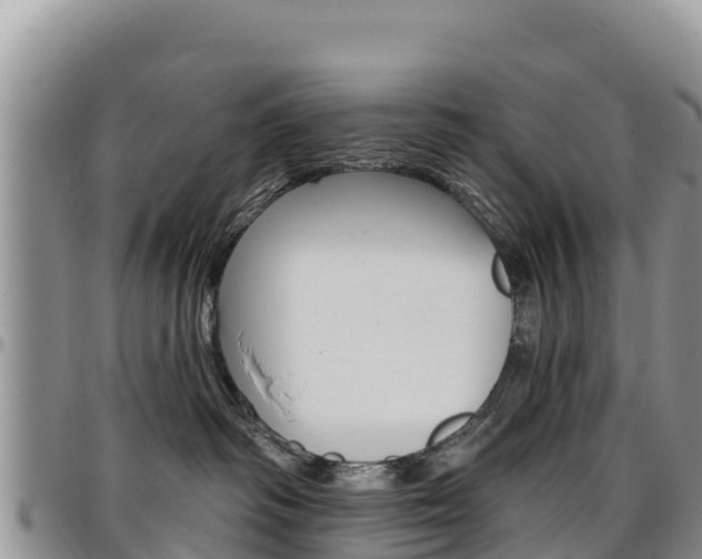 X0000097290334200802151104