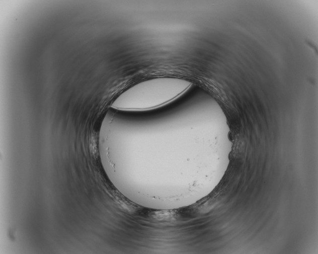 X0000097290335200802151104