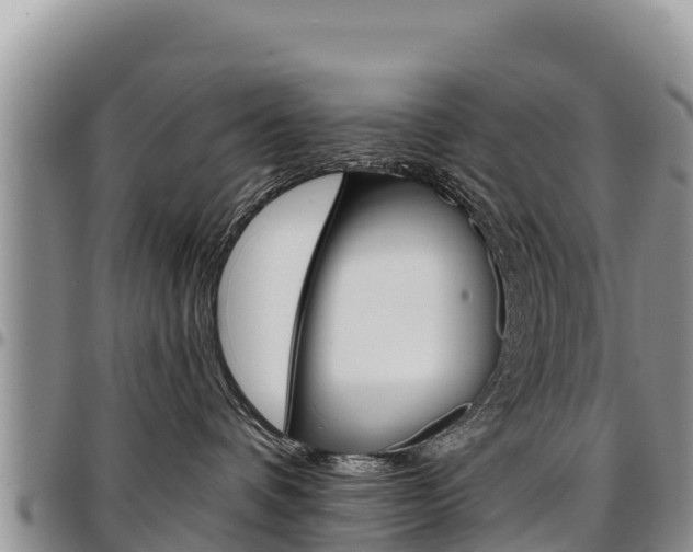 X0000097290336200802151104