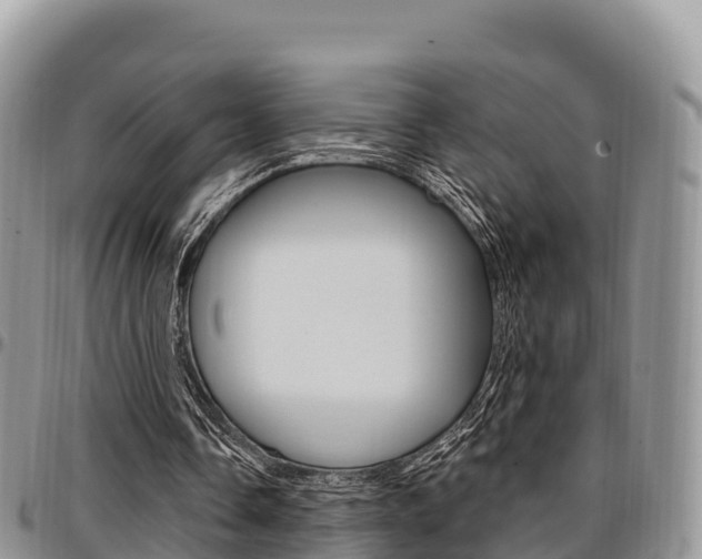X0000097290338200802151103