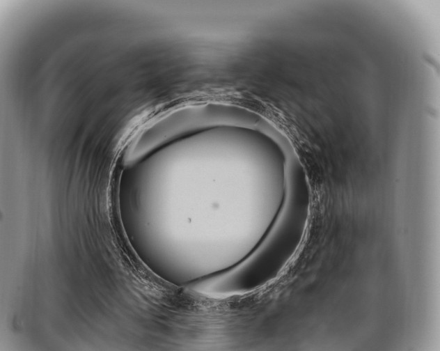 X0000097290340200802151104