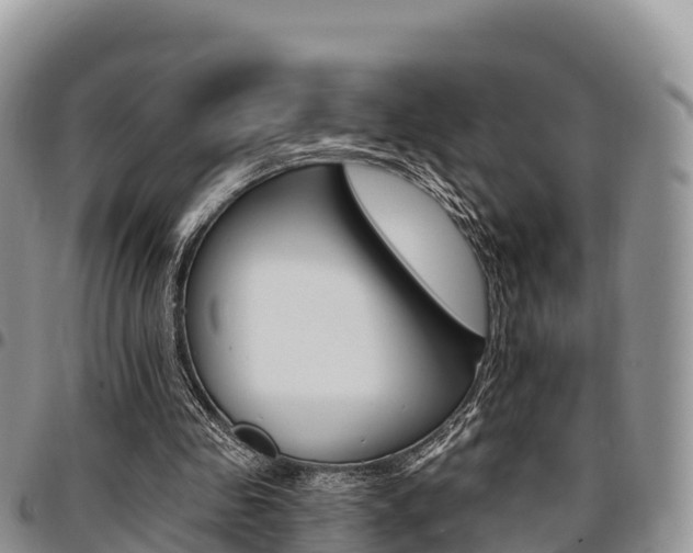 X0000097290341200802151104