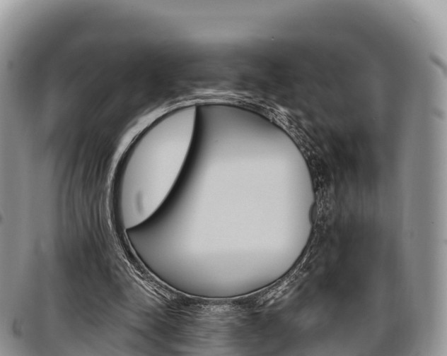 X0000097290342200802151104