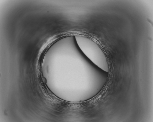 X0000097290343200802151104