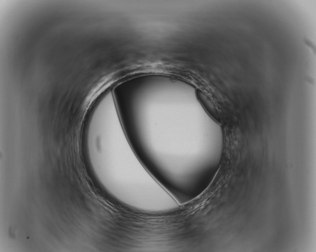 X0000097290344200802151104