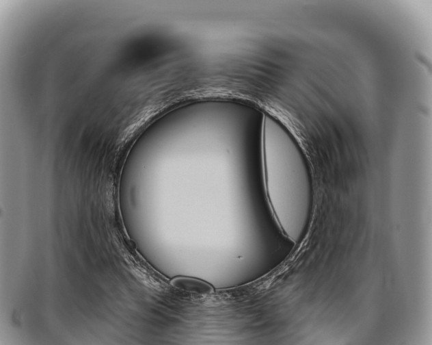 X0000097290345200802151104