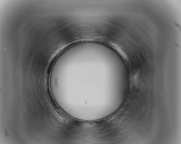 X0000097290346200802151104