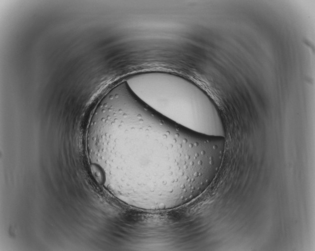 X0000097290347200802151104