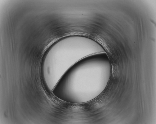 X0000097290348200802151104
