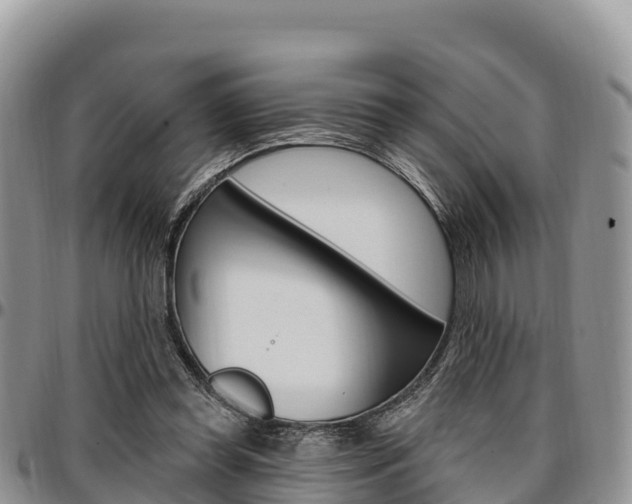 X0000097290349200802151104