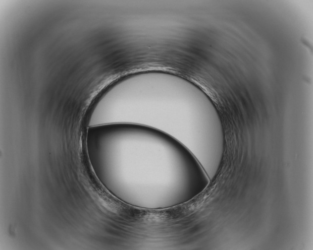 X0000097290350200802151104