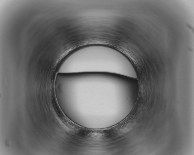 X0000097290352200802151104