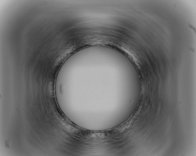 X0000097290353200802151104