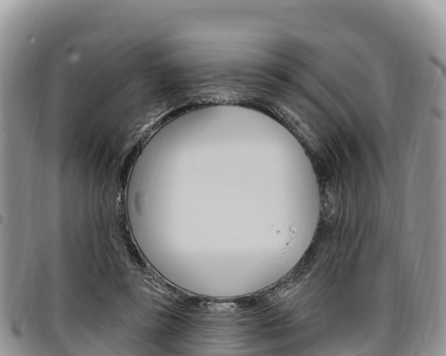 X0000097290355200802151104
