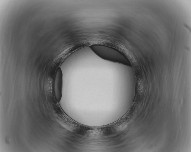 X0000097290356200802151104