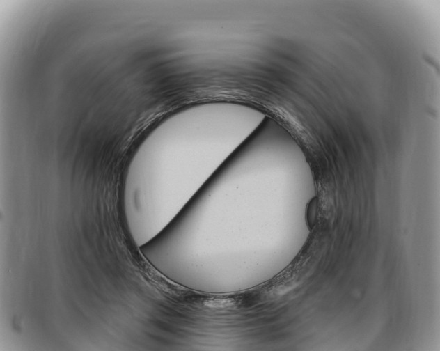 X0000097290357200802151104