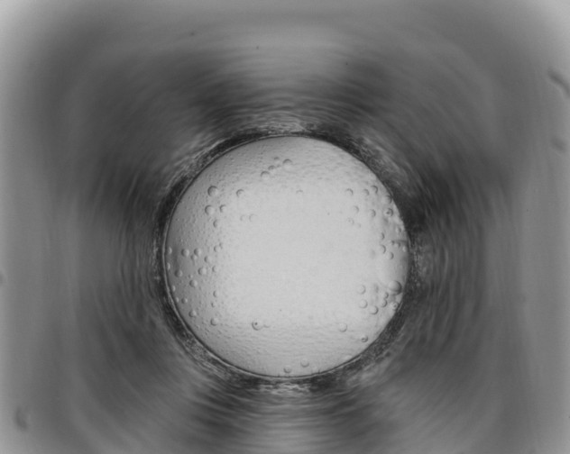 X0000097290359200802151104