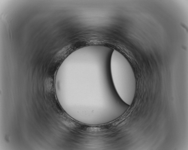 X0000097290361200802151104