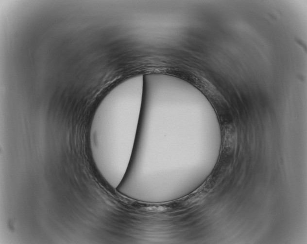 X0000097290363200802151104