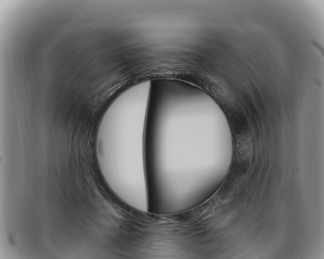 X0000097290364200802151104