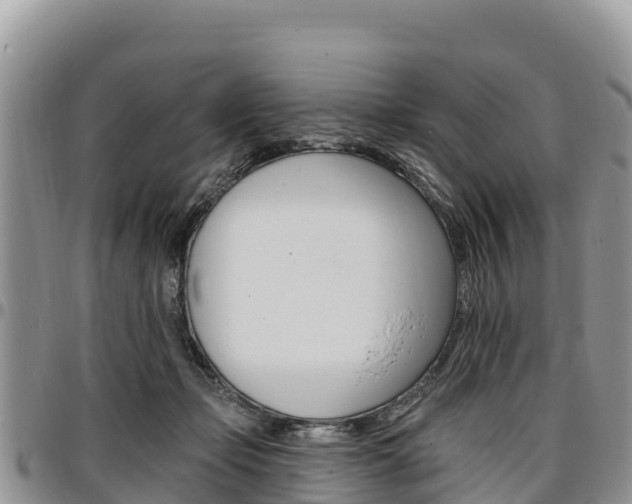 X0000097290365200802151104