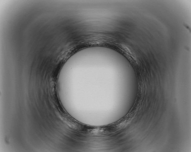 X0000097290366200802151104