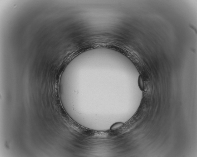 X0000097290369200802151104