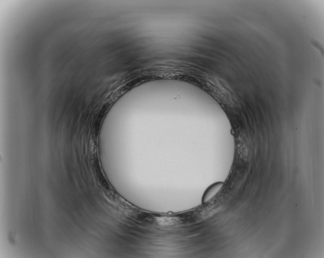 X0000097290371200802151104