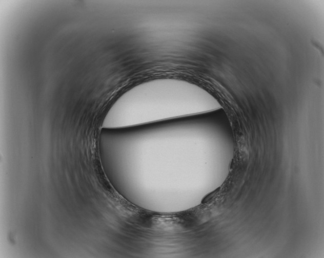 X0000097290372200802151104