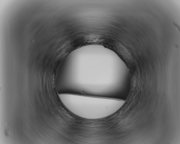 X0000097290376200802151104