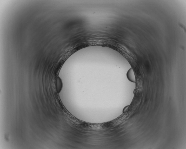X0000097290377200802151104