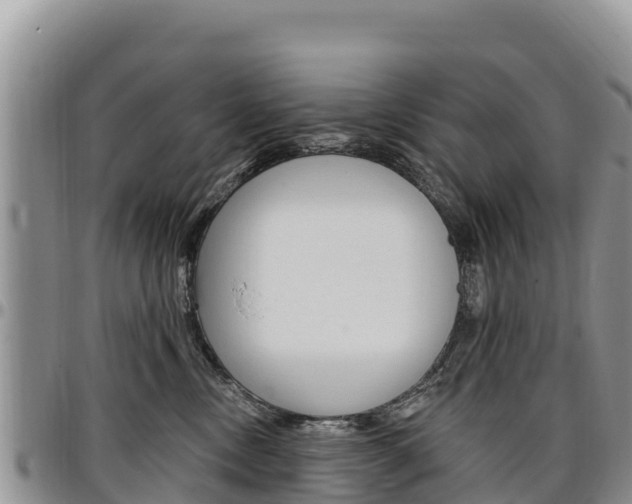 X0000097290378200802151104