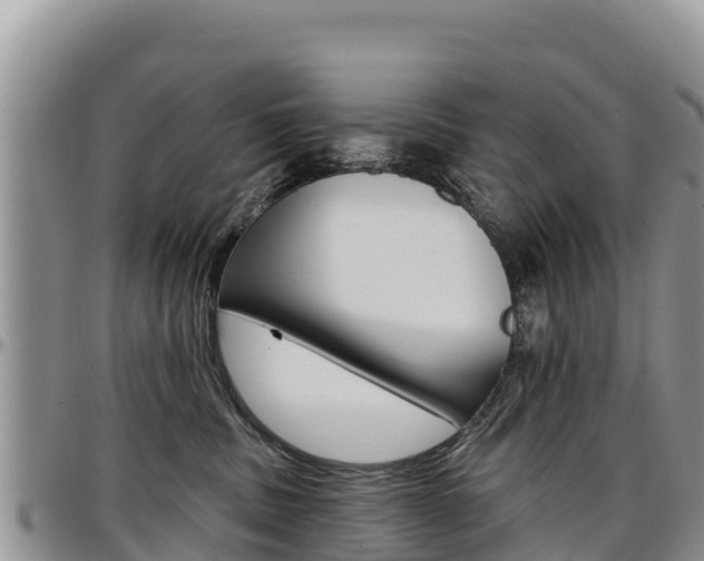 X0000097290379200802151104