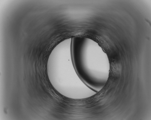 X0000097290380200802151104