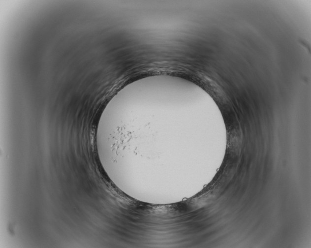 X0000097290382200802151104