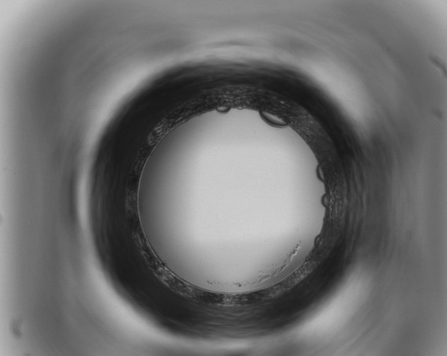 X0000097290383200802151104