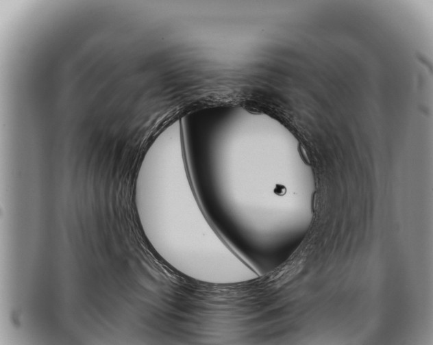 X0000097290384200802151104
