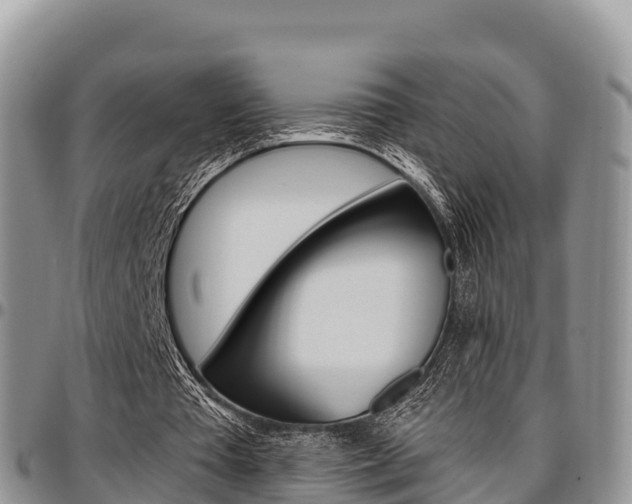 X0000097290385200802151103