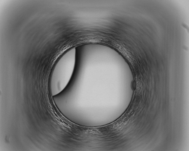 X0000097290386200802151103