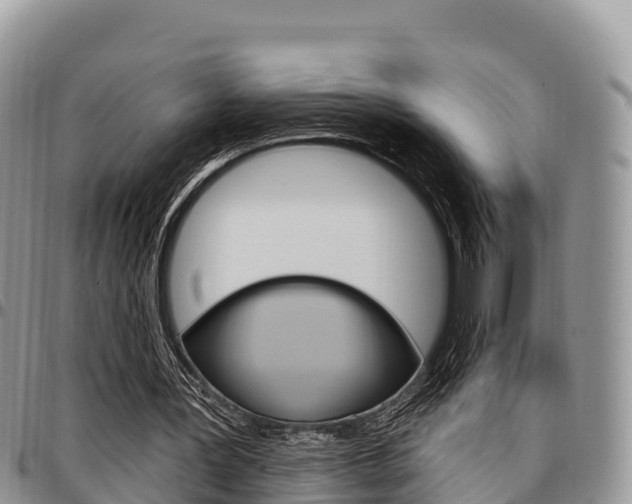 X0000097290387200802151103