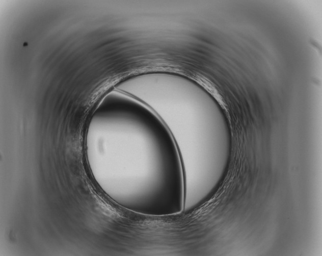 X0000097290389200802151103