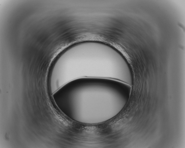 X0000097290391200802151103