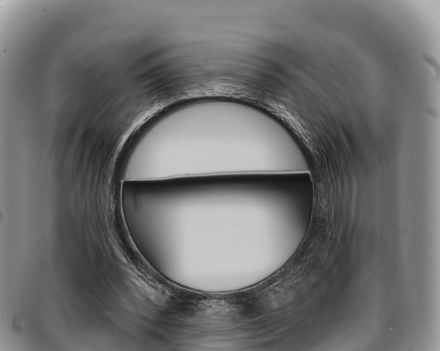 X0000097290392200802151103