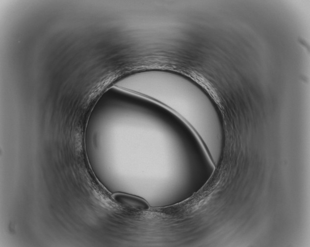 X0000097290393200802151103
