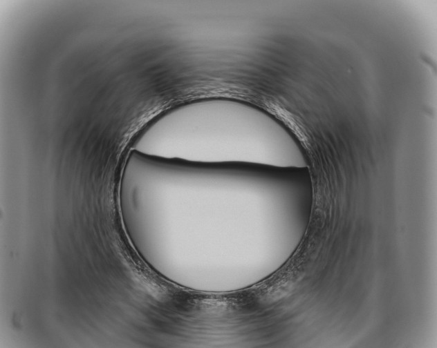 X0000097290394200802151103