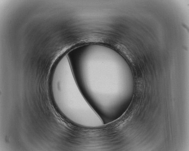 X0000097290395200802151103