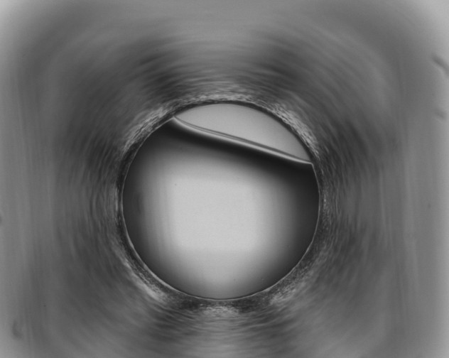 X0000097290397200802151103
