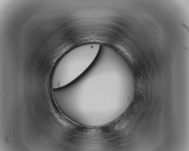 X0000097290398200802151103